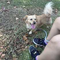 Thumbnail photo of Sunny #2