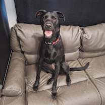 Thumbnail photo of Jazz #1