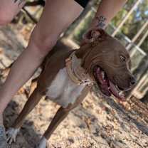 Thumbnail photo of Harvest 28238 #3