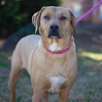 Thumbnail photo of Lucky 21106 #2