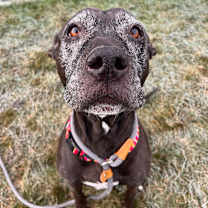 Thumbnail photo of Mama Odie  #1