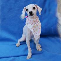 Thumbnail photo of CLARA #4