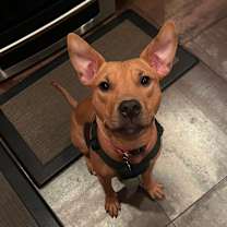 Thumbnail photo of Kettle Corn  #1