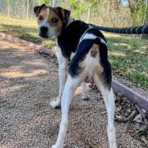 Thumbnail photo of Doug #2