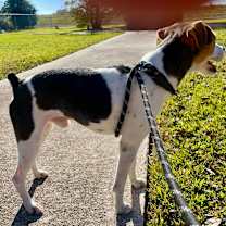 Thumbnail photo of Doug #3