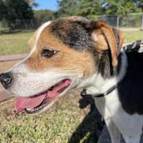 Thumbnail photo of Doug #4