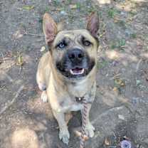 Thumbnail photo of Klay #1