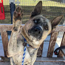 Thumbnail photo of Klay #4