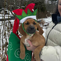 Thumbnail photo of NY Andy Avail Dec 13 (Tractor Supply Patterson) #2