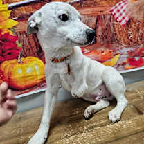 Thumbnail photo of Nick #4