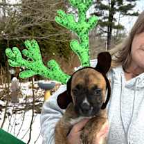 Thumbnail photo of NY Merida Avail Dec 13 (Tractor Supply Patterson) #3