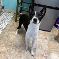 Thumbnail photo of Cici #2