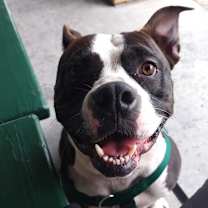 Thumbnail photo of Mora #3