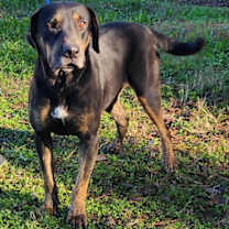 Thumbnail photo of 251126  Hillary #2