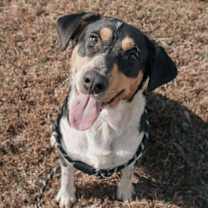 Thumbnail photo of Bryant #2