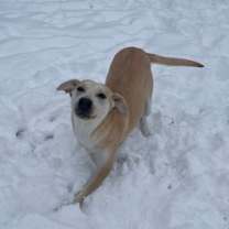 Thumbnail photo of Sister Schubert #1