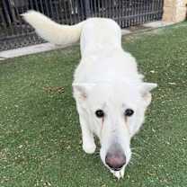 Thumbnail photo of Marly #3