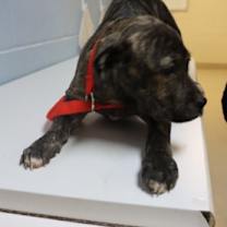 Thumbnail photo of 12-13 #1