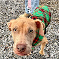 Thumbnail photo of Wyatt #2