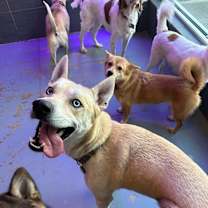 Thumbnail photo of Zeus #1