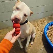 Thumbnail photo of Maggie #1