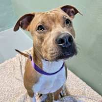 Thumbnail photo of Hannah #3