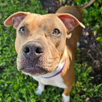 Thumbnail photo of Hannah #4