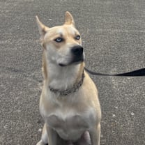 Thumbnail photo of Zeus #3