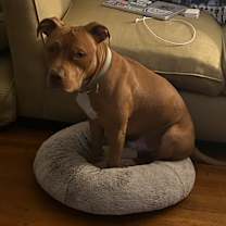 Thumbnail photo of Eros #2