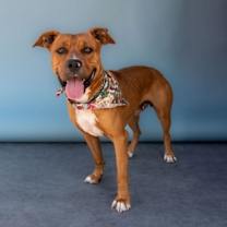 Thumbnail photo of ZEUS #2