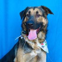 Thumbnail photo of MR. FREEZE #2