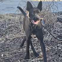 Thumbnail photo of Reid #1