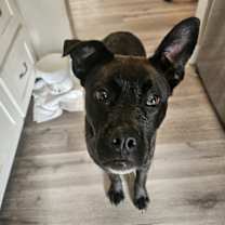 Thumbnail photo of Reid #2