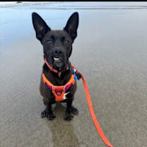 Thumbnail photo of Reid #3