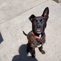 Thumbnail photo of Reid #4