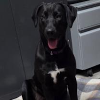 Thumbnail photo of Gabby #2