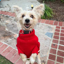 Thumbnail photo of Gucci #1