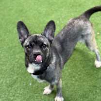 Thumbnail photo of Kelsey #3