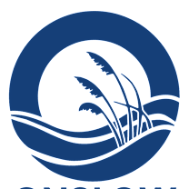 Thumbnail photo of Star  #2