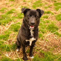 Thumbnail photo of Flora #1