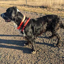 Thumbnail photo of Dustin Farley #3