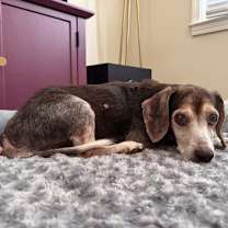 Thumbnail photo of Walter #4