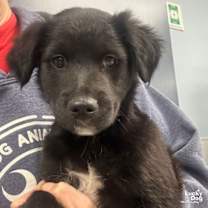 Thumbnail photo of Kevin #1