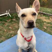 Thumbnail photo of Valentina #3