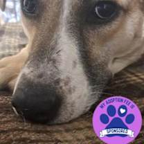 Thumbnail photo of Fletcher #1