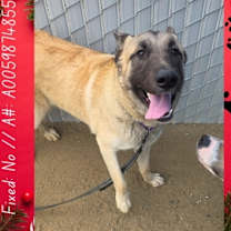 Thumbnail photo of Denver #2