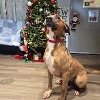 Thumbnail photo of Christina A24-195 #3