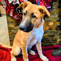 Thumbnail photo of Verne #1