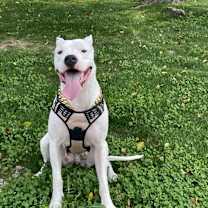 Thumbnail photo of Empress Sasha LUX #3