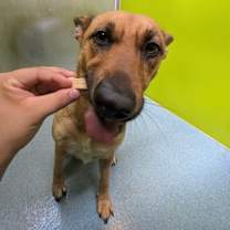 Thumbnail photo of Lexi(Janine) #4